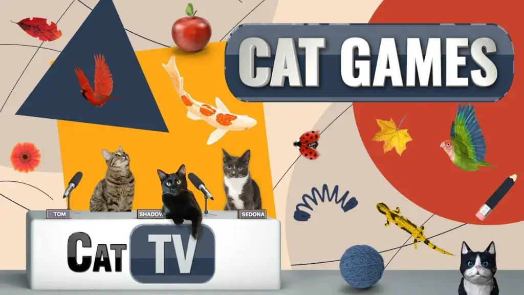 screen-game-for-cats -cat-tv-games