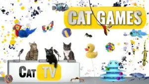 cat-games-25