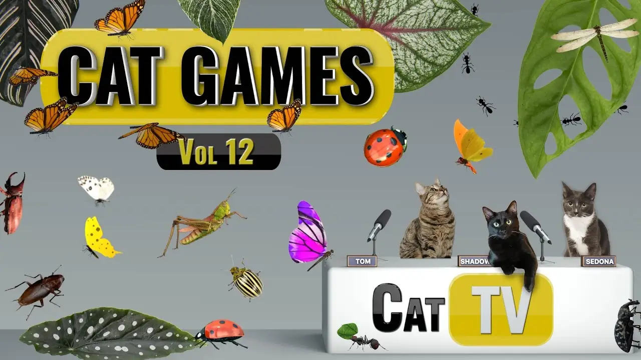 CAT Games | Ultimate Cat TV Bugs and Butterflies Compilation Vol 12 🪲 🐞🦋🦗 Videos For Cats to Watch