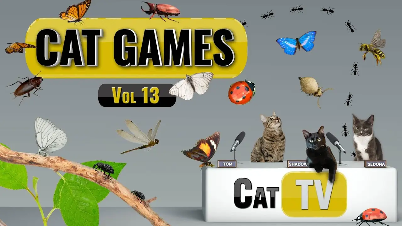 CAT Games | Ultimate Cat TV Bugs and Butterflies Compilation Vol 13 🪲 🐞🦋🦗🐜 | Bug Videos For Cats