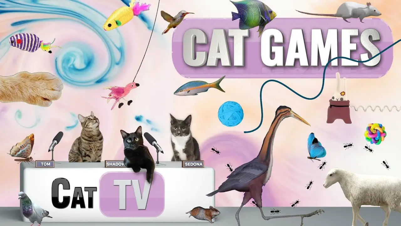 CAT Games | Ultimate Cat TV Compilation Vol 52 | 2 HOURS 🐝🐞🦋🦎🦜🐜🐭🧵