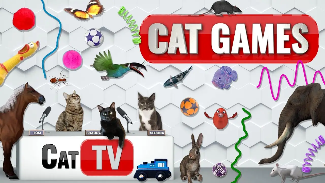 CAT Games | Ultimate Cat TV Compilation Vol 53 | 2 HOURS 🐝🐞🦋🦎🦜🐜🐭🧵