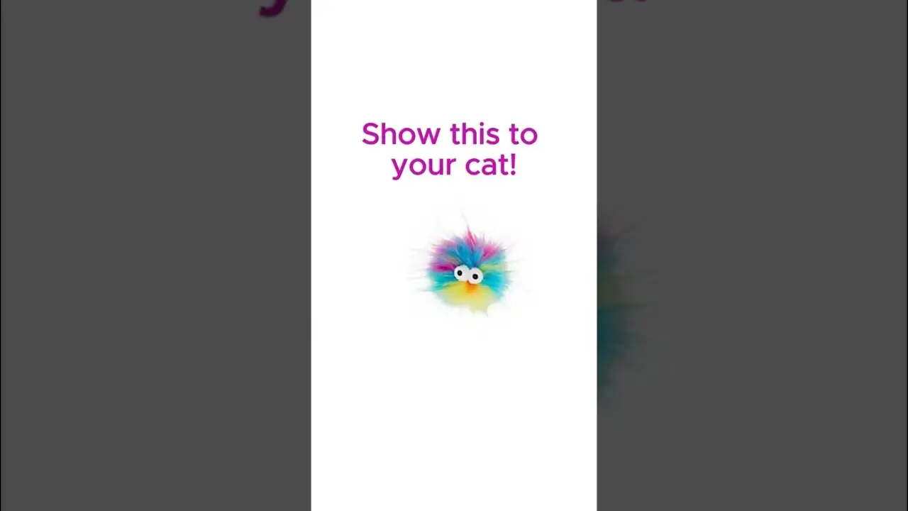 Play this for your cat! Full 2 hour version linked above 😻. #cattv #cattvgames #videosforcats #cat