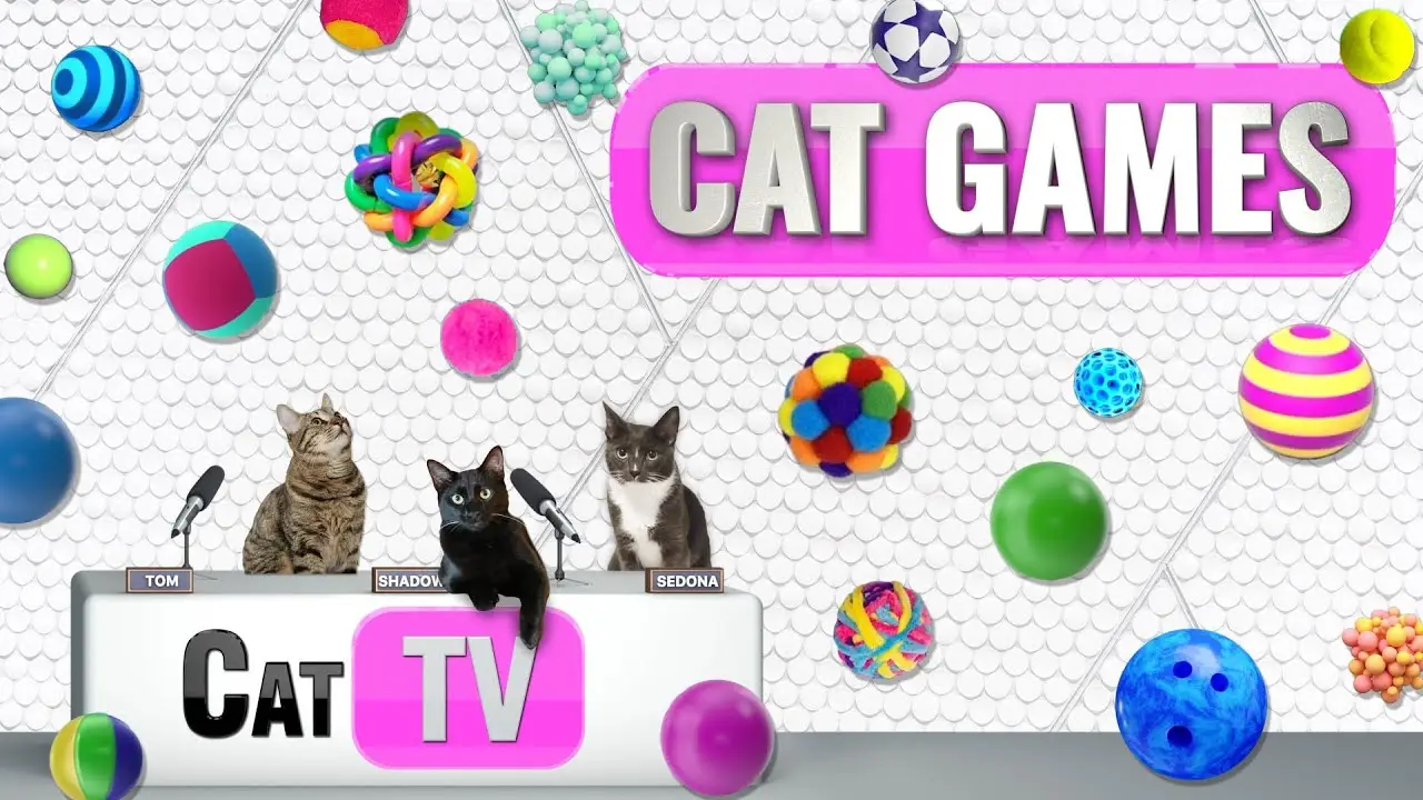 CAT Games | 🔵 Balls, 🔴 Balls, and More 🟡 Balls | Cat Toy Videos For Cats | Cat TV Compilation
