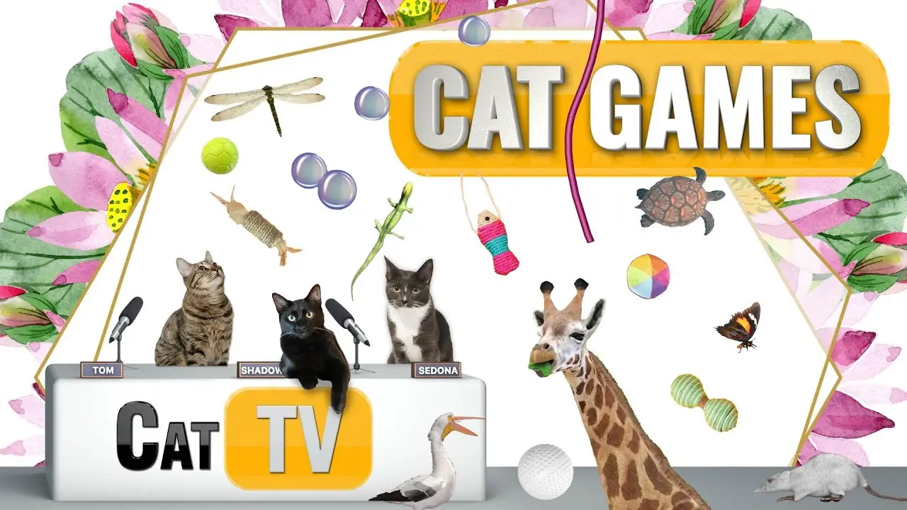 CAT Games | Ultimate Cat TV Compilation Vol 54 | 2 HOURS 🐝🐞🦋🦎🦜🐜🐭🧵