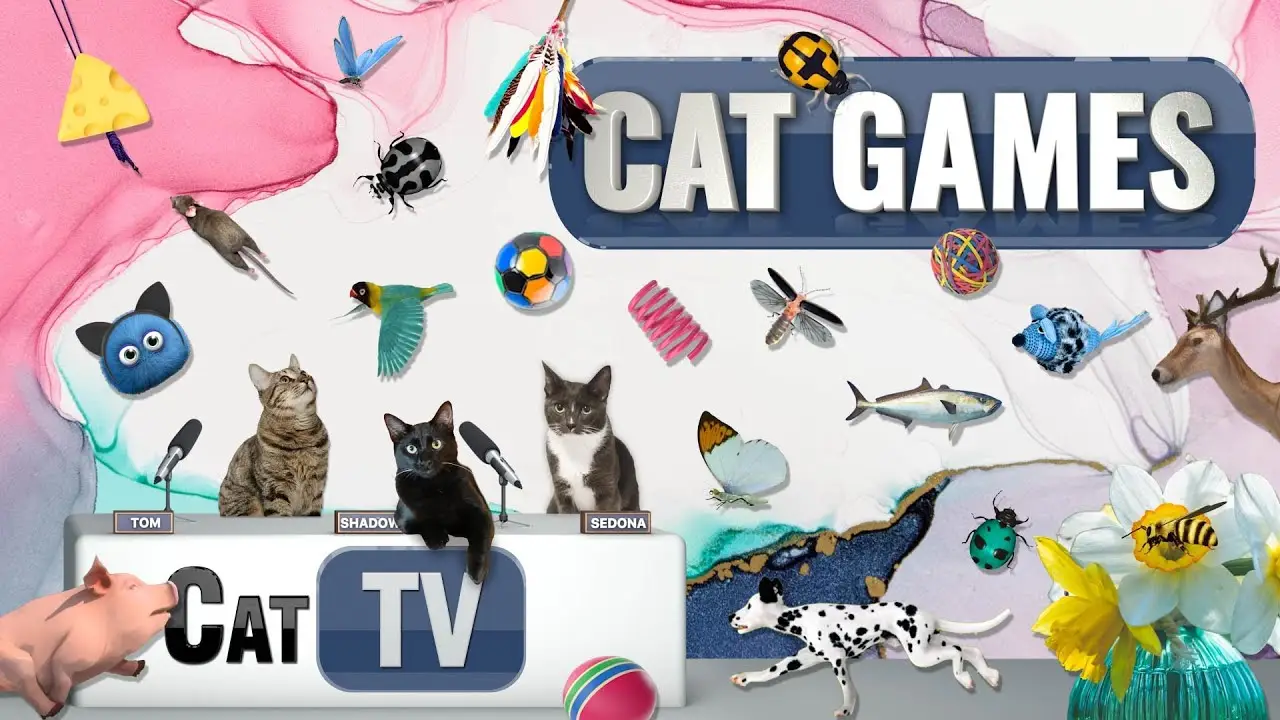 CAT Games | Ultimate Cat TV Compilation Vol 49 | 2 HOURS 🐝🐞🦋🦎🦜🐜🐭🧵