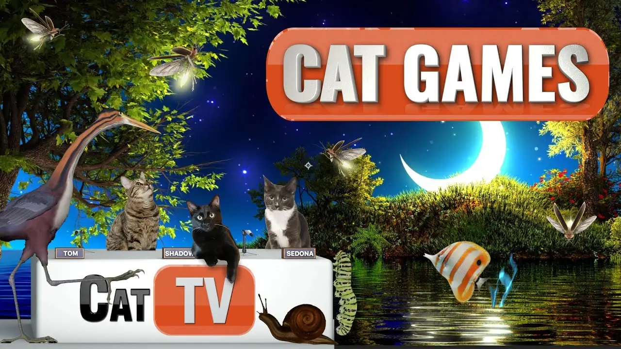 CAT Games | 🪲 Peaceful Night Critters | Dark Screen Videos For Cats to Watch to Sleep and Relax 😼