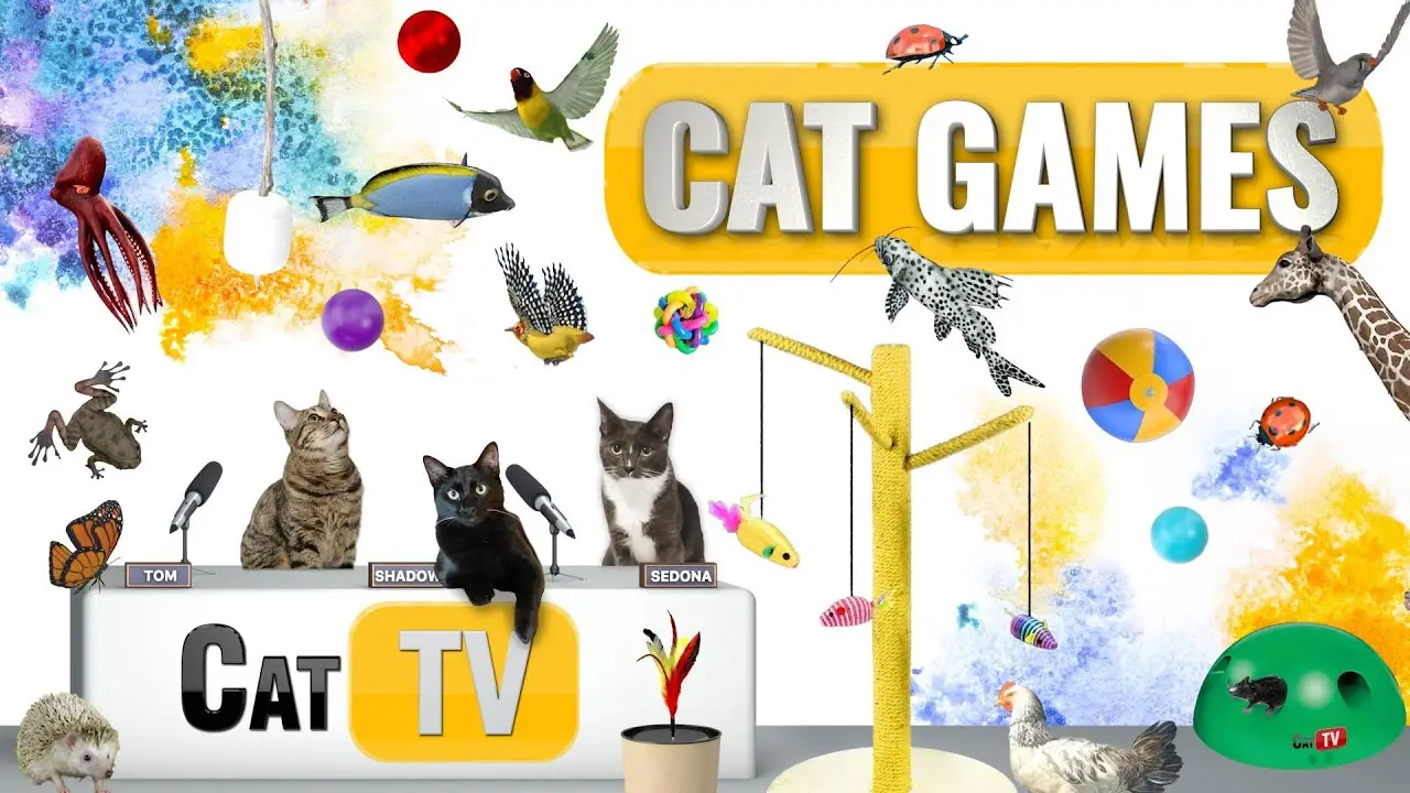 CAT Games | Ultimate Cat TV Compilation Vol 50 | 2 HOURS 🐝🐞🦋🦎🦜🐜🐭🧵