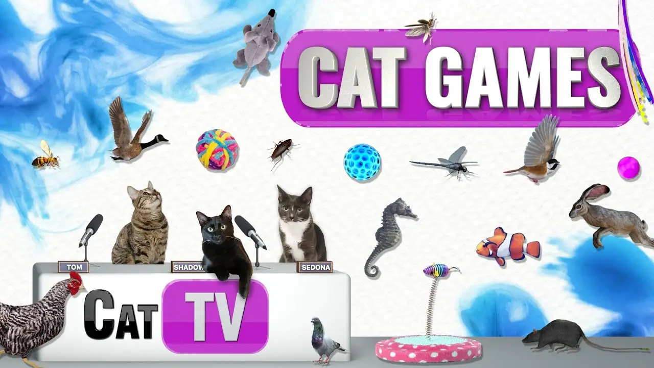 CAT Games | Ultimate Cat TV Compilation Vol 59 | 2 HOURS 🐝🐞🦋🦎🦜🐜🐭🧵