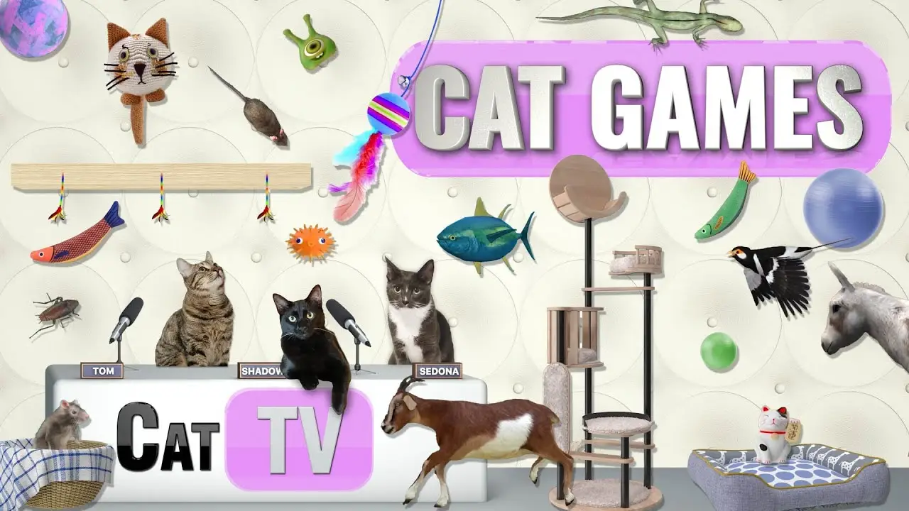 CAT Games | Ultimate Cat TV Compilation Vol 61 | 2 HOURS 🐝🐞🦋🦎🦜🐜🐭🧵