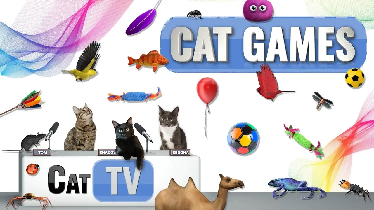 CAT Games | Ultimate Cat TV Compilation Vol 57 | 2 HOURS 🐝🐞🦋🦎🦜🐜🐭🧵
