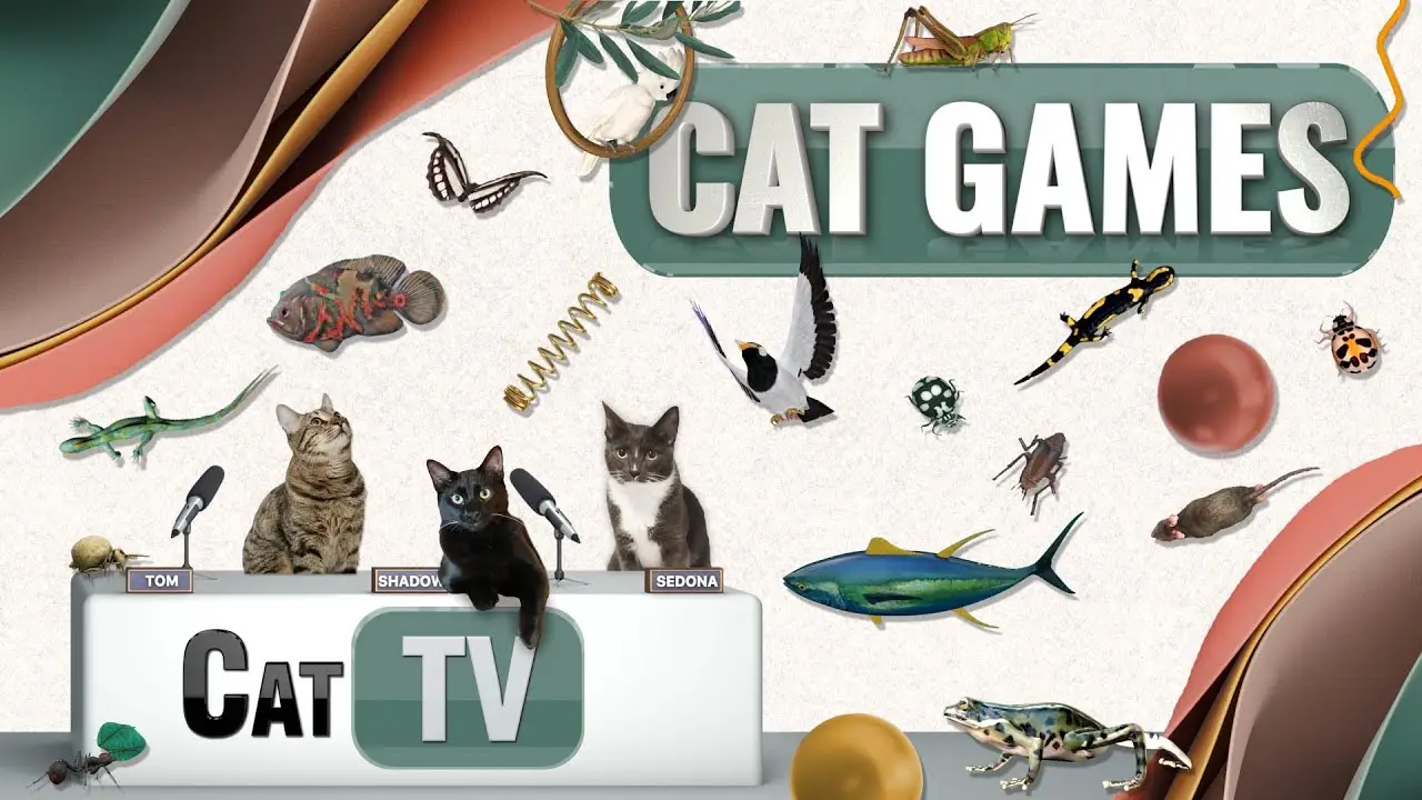CAT Games | Ultimate Cat TV Compilation Vol 58 | 2 HOURS 🐝🐞🦋🦎🦜🐜🐭🧵